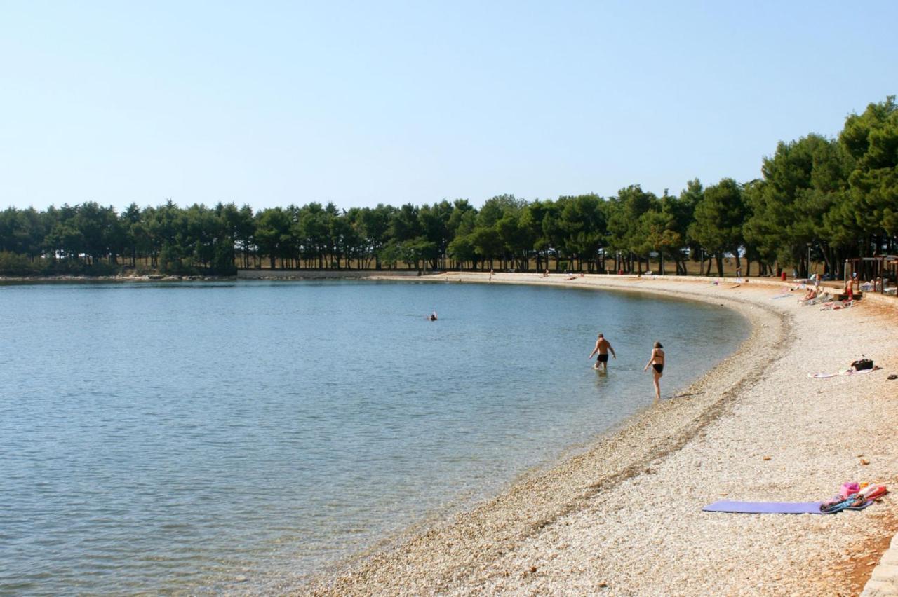 Apartments With A Swimming Pool Novigrad - 7078 외부 사진